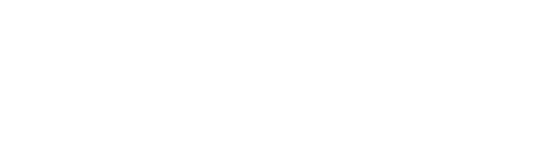 Peritus Consulting Partners